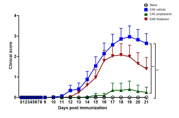 Fingolimod treatment prevents disease progression in EAE