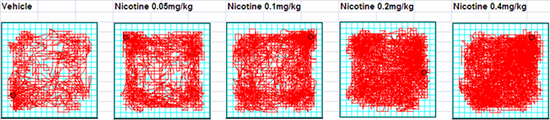 Motor stimulant effects of nicotine