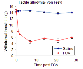 Tactile allodynia